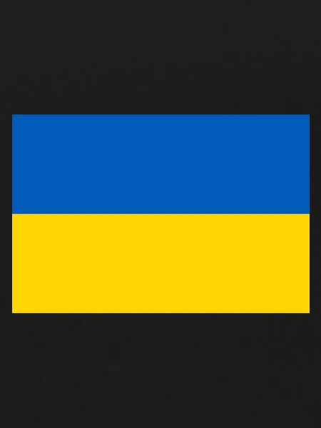 Ukraine Flag