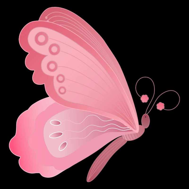 papillon rose