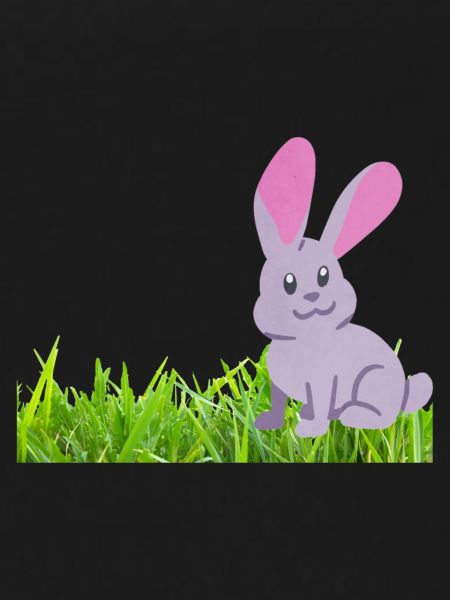 Rabbit on grass
