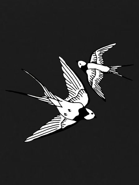 Vögel