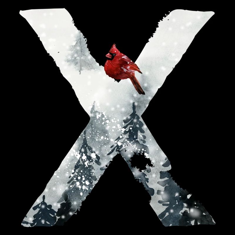 X – dekoratives Schriftzeichen – Winter
