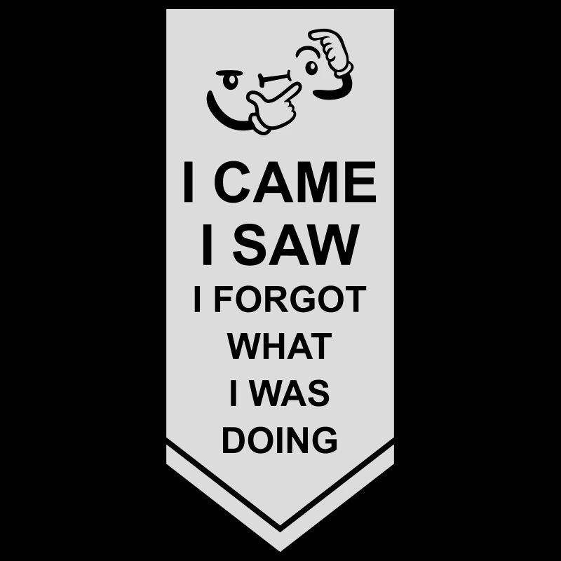 I came saw forget