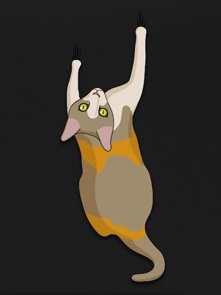 Climbing cat