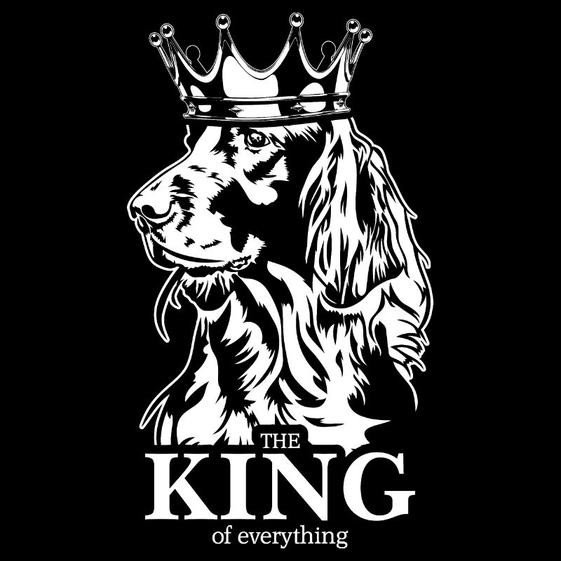 Irish Setter King of everything Hunde Wilsigns