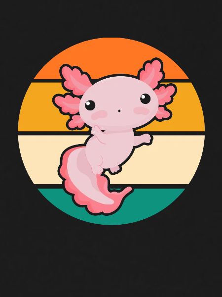 Axolotl