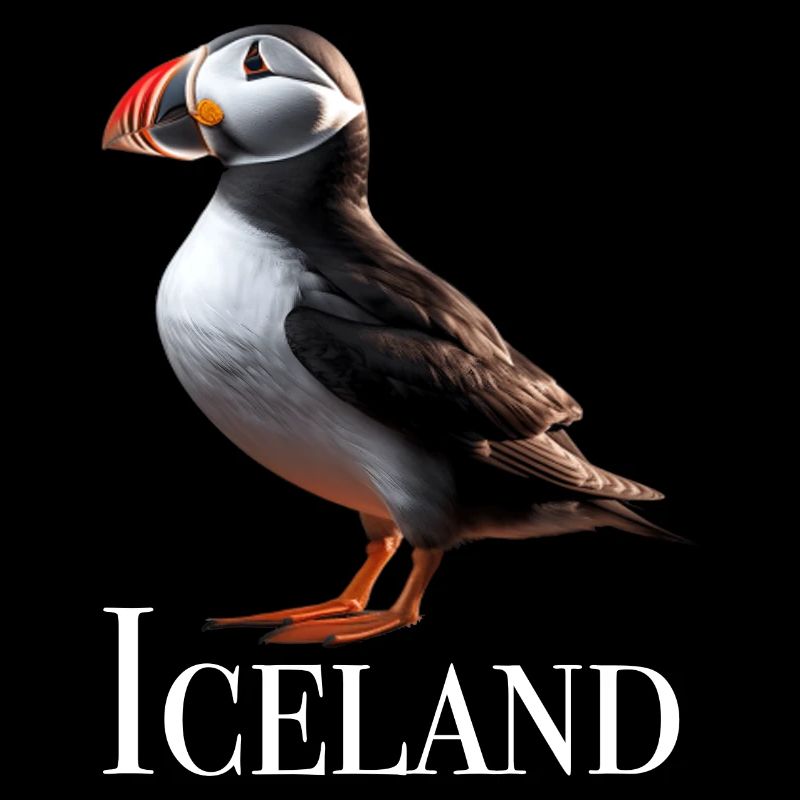 Macareux d’Islande