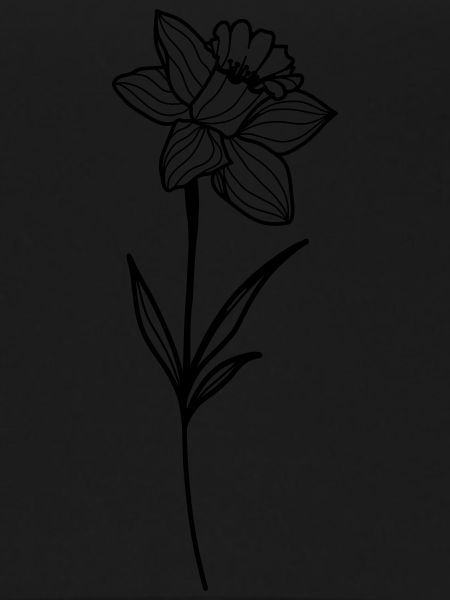 Daffodil