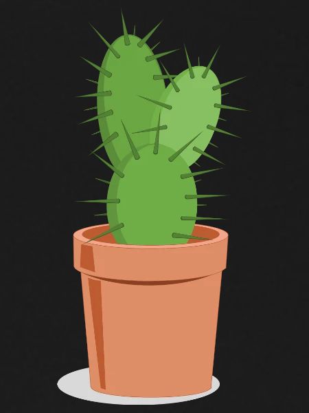 Prickly cactus