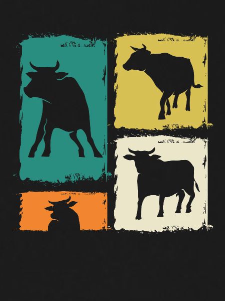 Buffalo Cattle Oxen