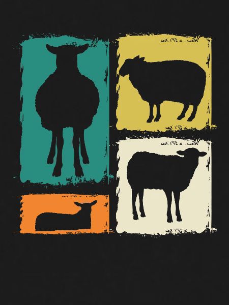 Shepherd Sheep