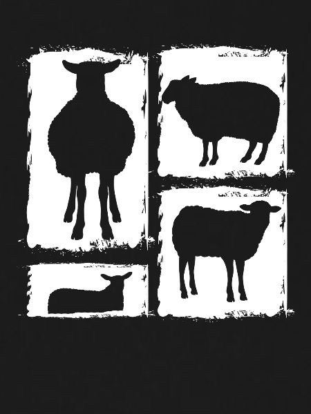 Shepherd Sheep