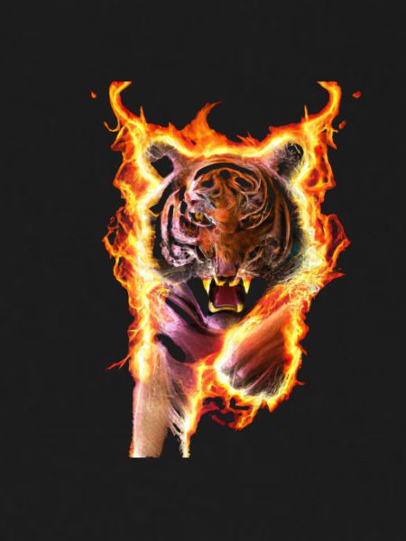 fire tiger