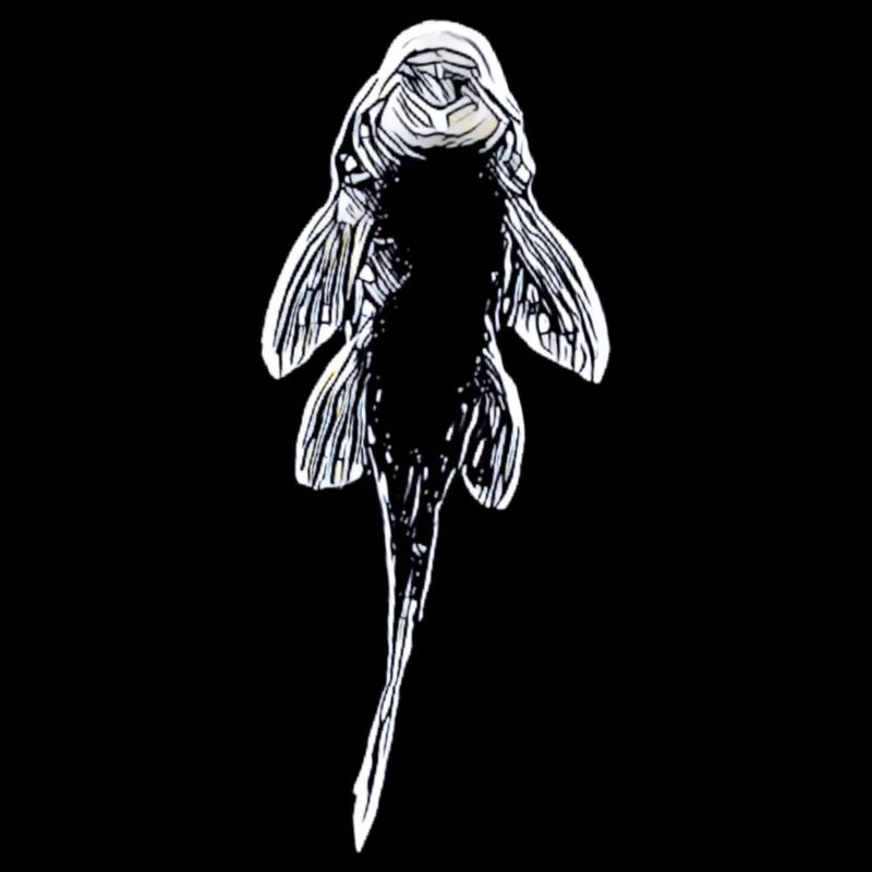 Drôle de pépite d’or Plecostomus Tropical Fish Keeper