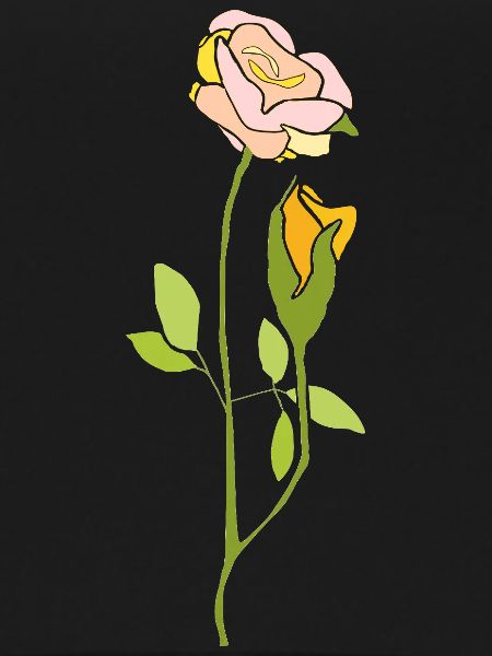 Rose