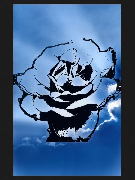 Dark Blue Sky Flower