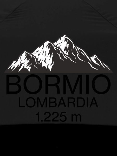bormio logo