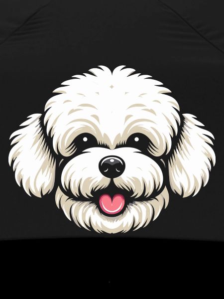 Bichon