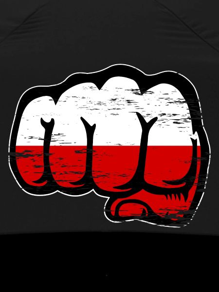 Poland flag fist used