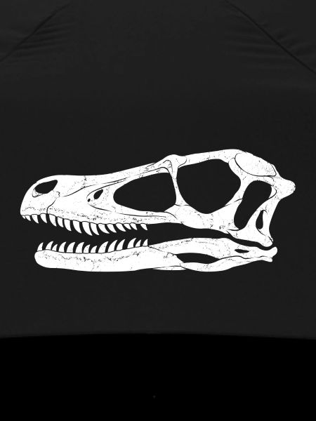 Velociraptor Fossil