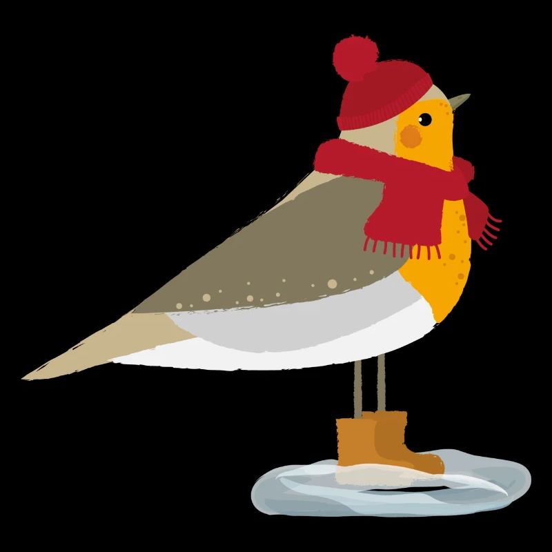 Rotkehlchen Winter/Robin Winter