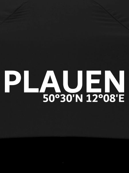 Coordonnées de Plauen