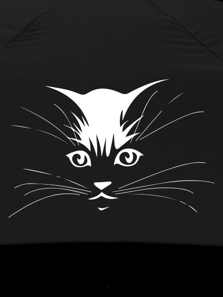 Cat Katze