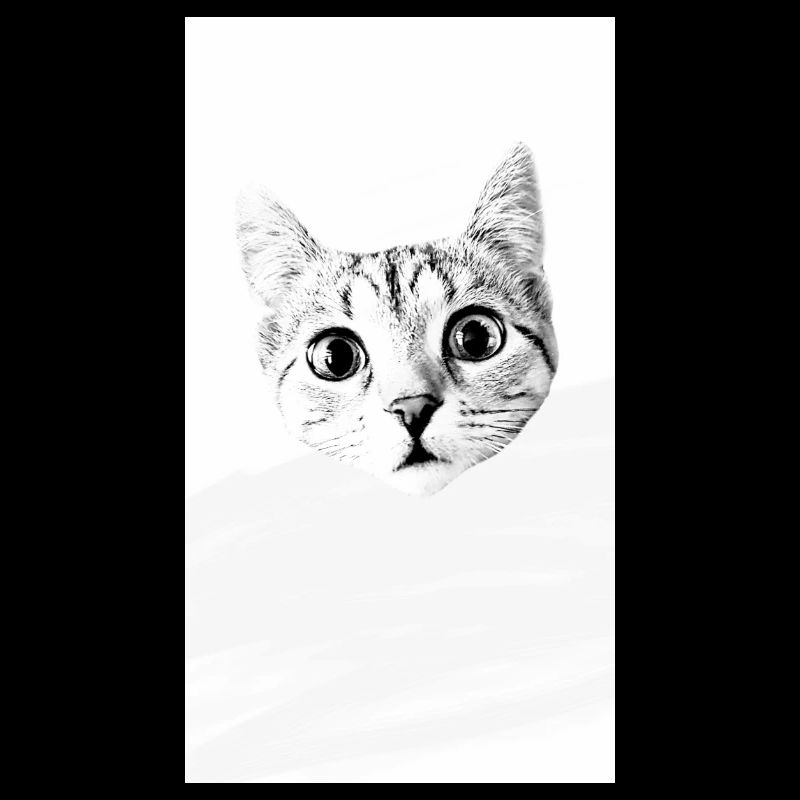 Chaton « mina »