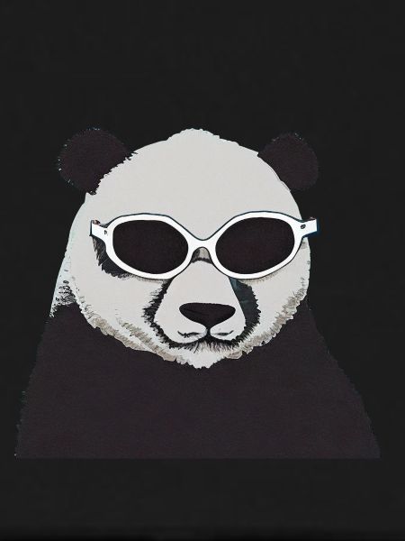 Cool Panda