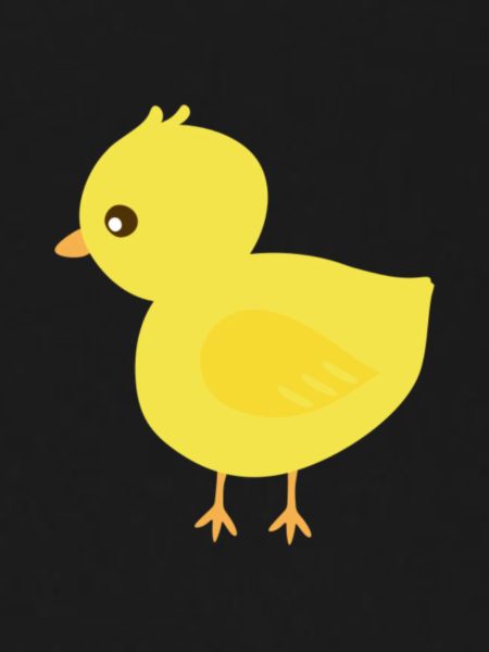 Chick