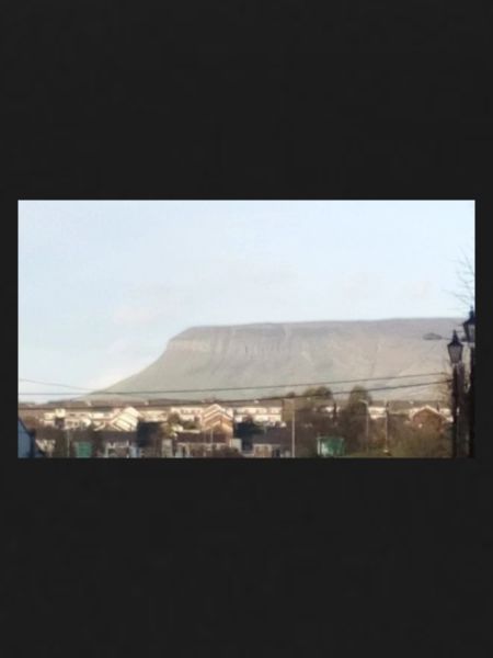 Benbuldsligotn221