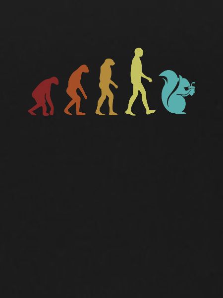Squirrel Evolution Grauhörnchen Squirrel