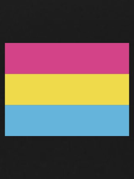 Pansexual Pride Flag
