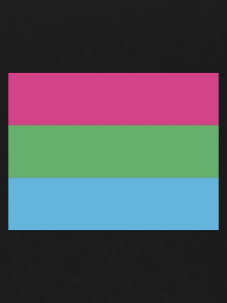 Polysexual Pride Flag