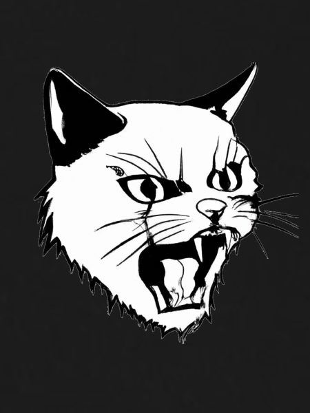 Angry Cat
