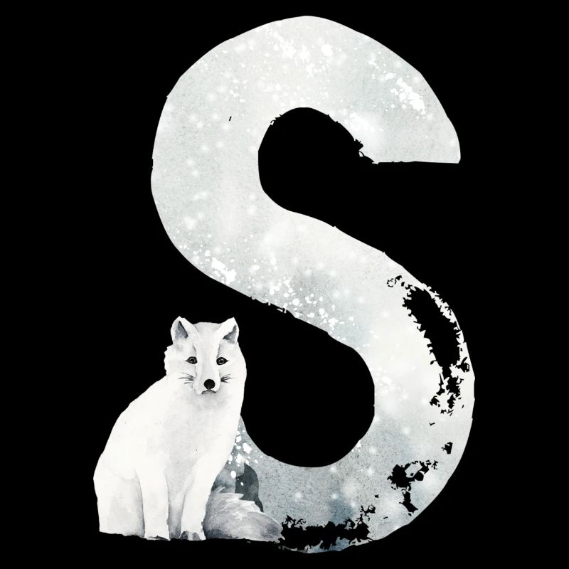 S – dekoratives Schriftzeichen – Winter
