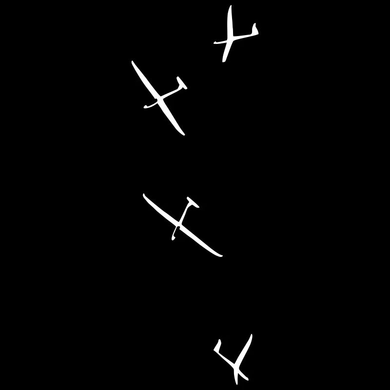 Planeur Vol à voile Planeur