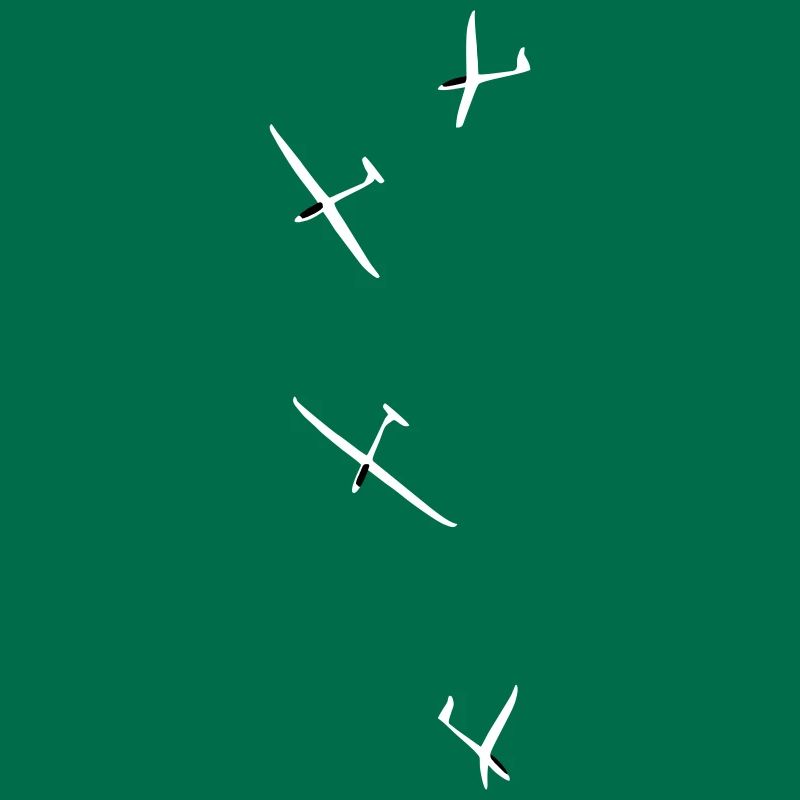Glider Gliding Gliding Glider