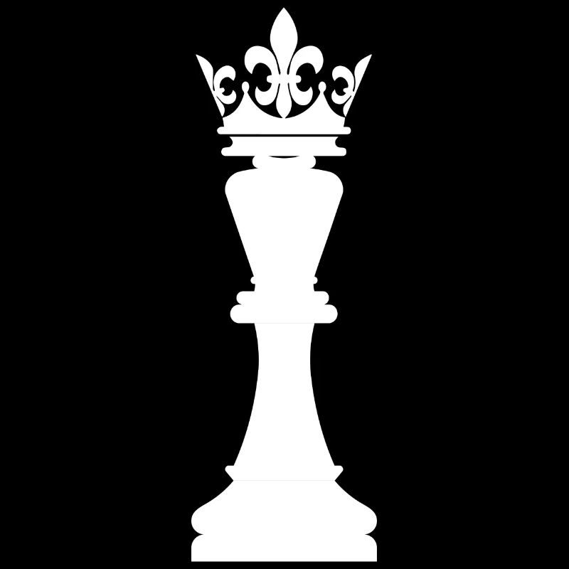 Jeu de société Chess Backgammon Game Night