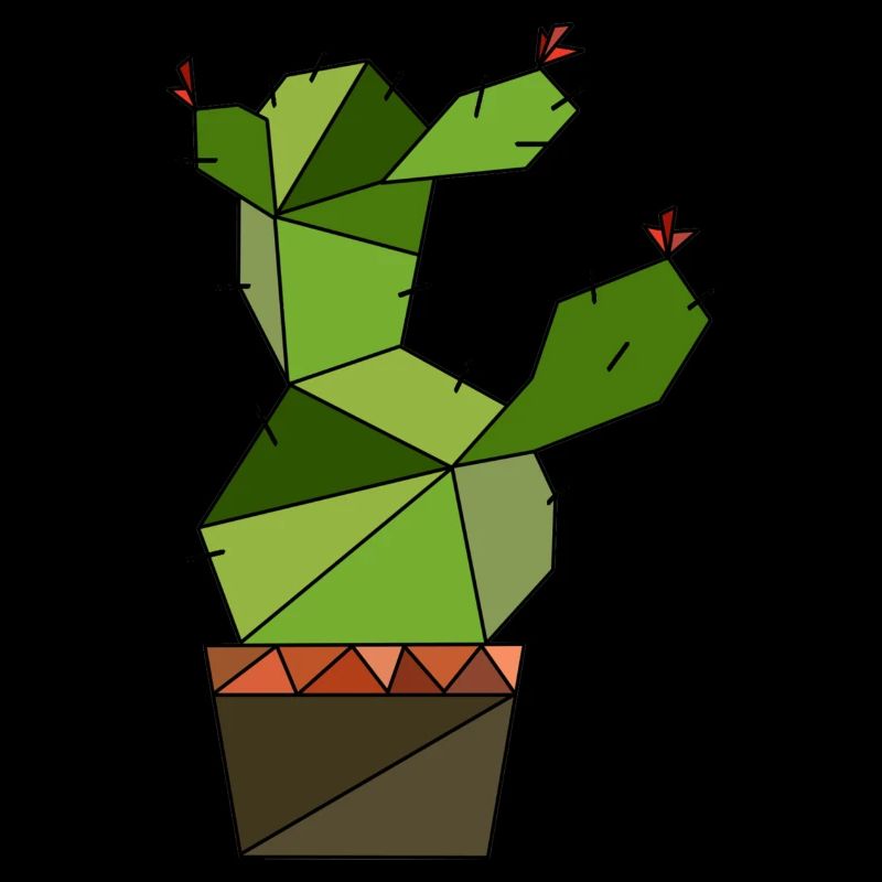 Kaktus geometrisch