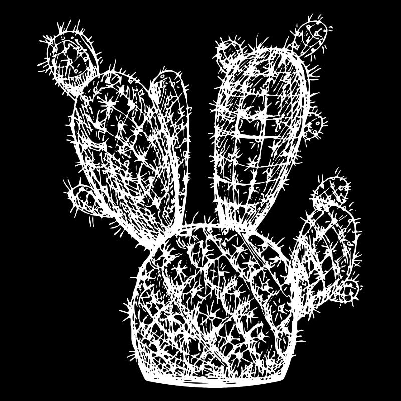 Croquis à la main cactus