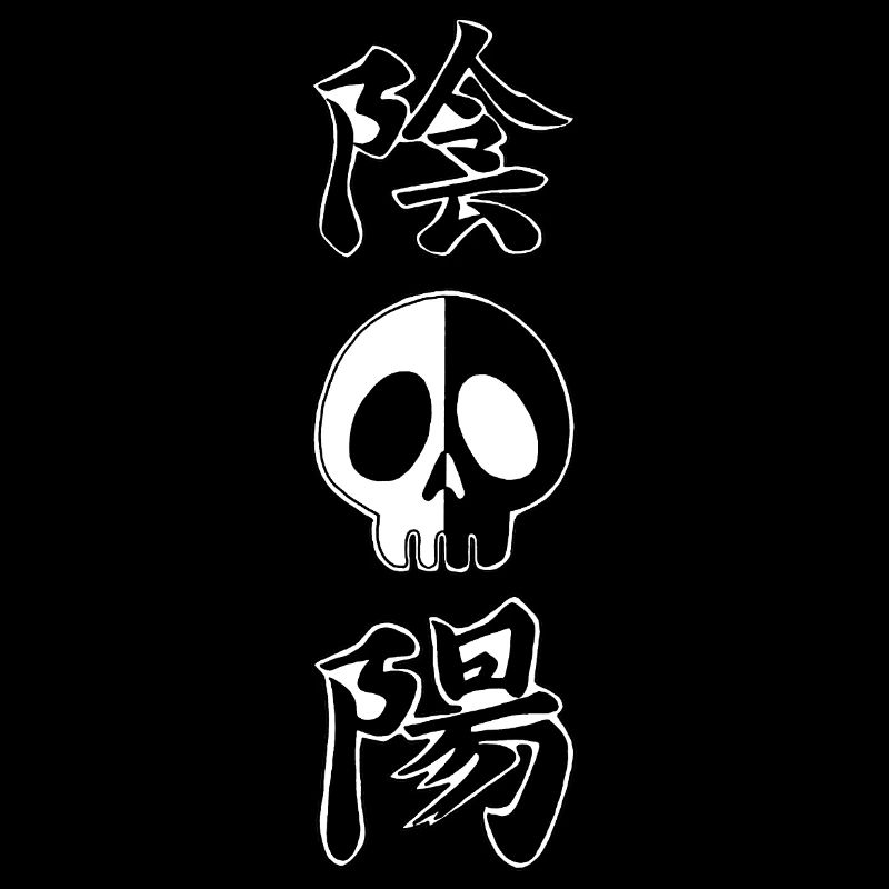 Yin and yang skull