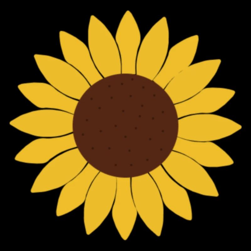Sonnenblume