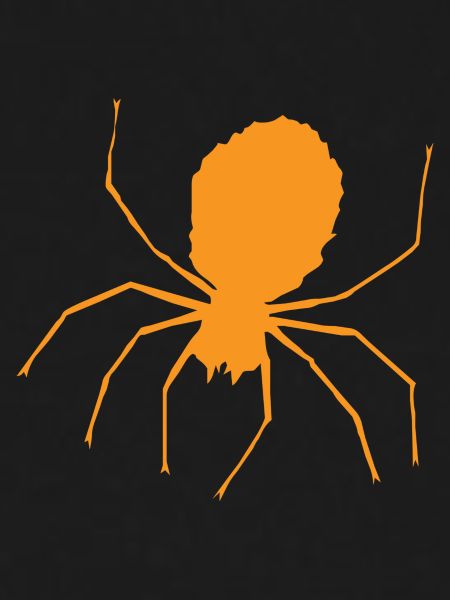 Spider Halloween