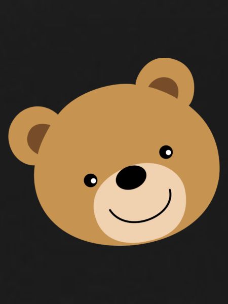Teddy Bear Bear