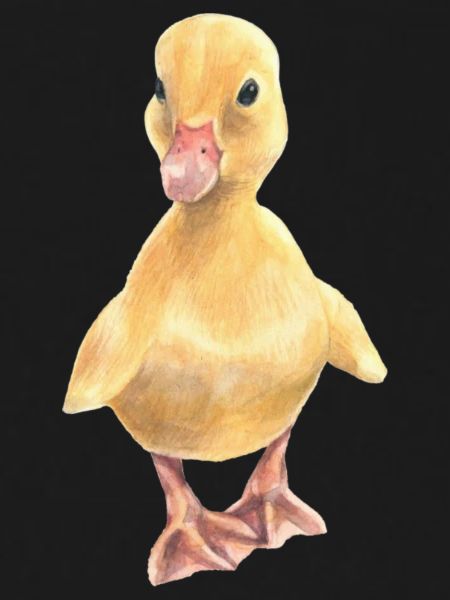 Chick