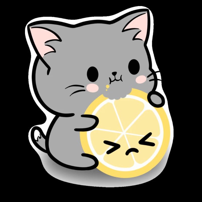 Chat citron