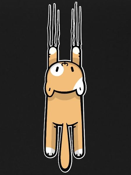 Scratching cat