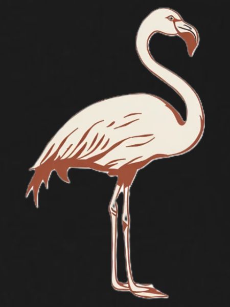 Flamingo Malerisch