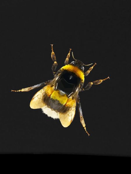 Bumblebee