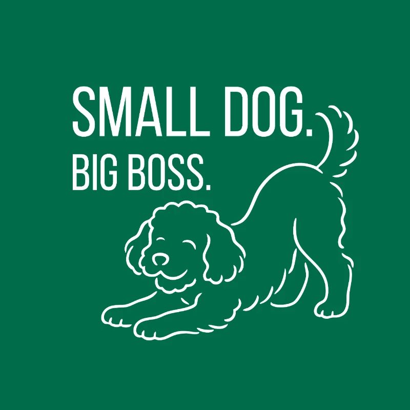 Zwergpudel, Malti-poo oder Königspudel 